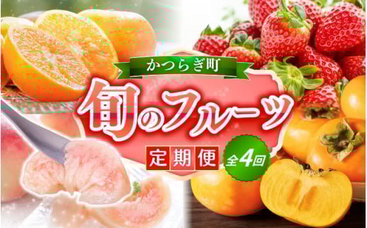 【定期便4回】旬の フルーツ定期便 / はれひめ みかん いちご まりひめ 桃 秀品 柿 種無し フルーツ 定期便 ふるーつ定期便 フルーツ 詰め合わせ 果物定期便 春フルーツ 夏フルーツ 秋フルーツ 冬フルーツ 産地直送【kgr025】