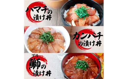 これが魚屋の漬け丼だ！海鮮5種食べ比べセット 《訳あり》 80ｇ×5P 鮪 ハマチ 鯛 カンパチ ブリ 詰め合わせ 漬け丼 漬け どんぶり 丼 5パック 海鮮 魚 真空パック 個食 個包装 冷凍