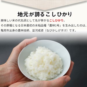 米 2kg×3袋 計6kg 京都丹波米 こしひかり 白米 ※精米したてをお届け《小分け 小袋 チャック付 米・食味鑑定士 厳選 コシヒカリ 京都丹波産 特Ａ 大人気お米 人気お米 お米 国産お米 お米