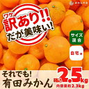 【ふるさと納税】訳あり それでも 有田みかん 箱込 2.5kg (内容量約 2.3kg) サイズミックス B品 有田みかん 和歌山県産 産地直送 家庭用【みかんの会】 | フルーツ 果物 くだもの 食品 人気 おすすめ 送料無料