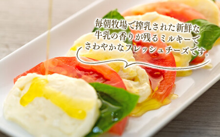 近藤牧場のモッツアレラチーズ（100g×2個） mi0003-0003