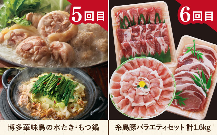 【全12回定期便】肉のお楽しみ定期便 食べ比べ セット ( 博多和牛 糸島和牛 糸島豚 はかた地どり イノシシ ウインナー シャトーブリアン ステーキ ハム ソーセージ ハンバーグ ) 糸島市 [AA