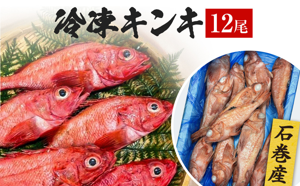 
石巻市産キンキ 12尾 冷凍 煮付 唐揚げ 吉次 魚 高級魚 キチジ 石巻
