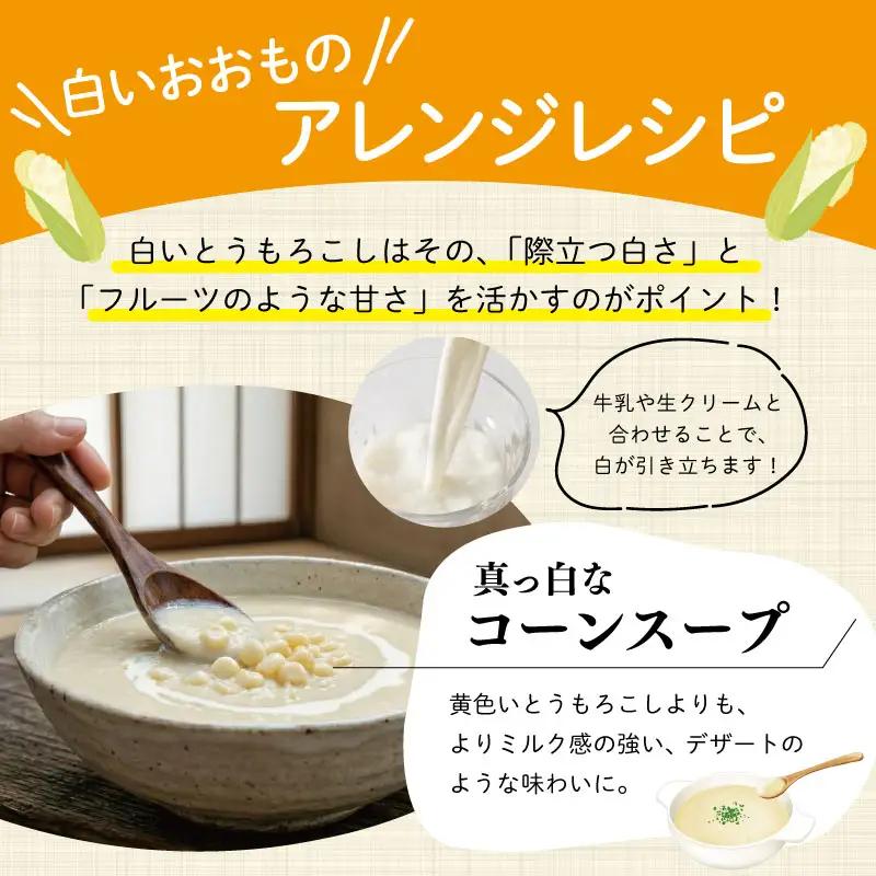 北山さんちの新鮮とうもろこし 白いおおもの 14～16本 kn3