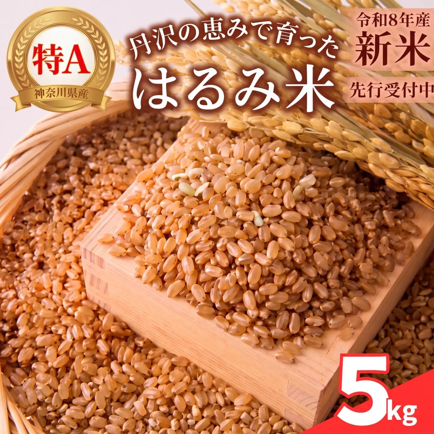 【先行予約】令和8年度産 はるみ米 5㎏ 玄米 新米 米 お米 ごはん 農家直送 低農薬  2026年産 高評価 大人気 おすすめ 特産品  かながわブランド ブランド米 神奈川県産 関東 厚木 神奈川県 厚木市 株式会社モモナファーム