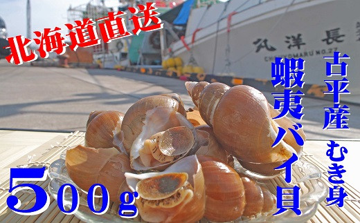 【110005】北海道古平産 漁師直送！蝦夷バイ貝(むき身) 500g
