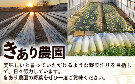 【きあり農園】2026年度 幸手市産 人参 10kg - 採れたて にんじん ニンジン 産地直送 野菜 ベジタブル 美味しい おいしい 根菜 煮物 炒め物 カレー サラダ おすすめ 送料無料 埼玉県 
