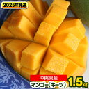 【ふるさと納税】【2025年発送】南国の果物　沖縄県産マンゴー　キーツ　1.5kg