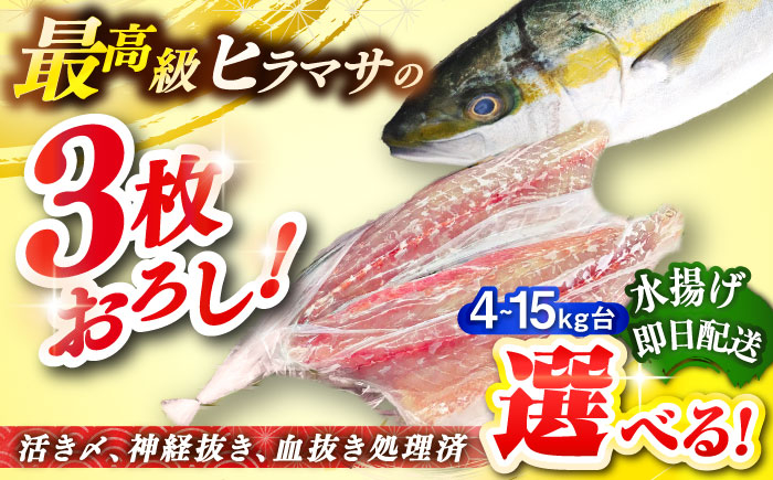 
            【選べるサイズ4～15キロ台】 壱岐島産天然ヒラマサ（三枚おろし） 《壱岐市》【壱岐島　玄海屋】[JBS077]  ヒラマサ 魚 刺身 煮物 カルパッチョ お寿司
          