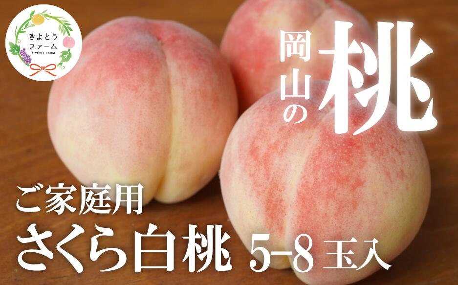 【ふるさと納税】しっかりとした果肉「さくら白桃」ご家庭用 5-8玉 (岡山県産)