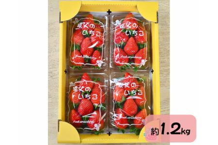 秩父のやよいひめ　4パック No.214