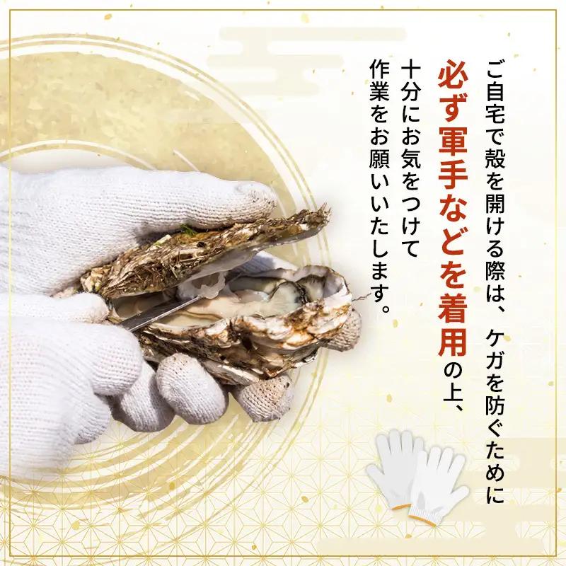 【先行予約】天然岩牡蠣 10～15個 生食可 象潟産 ナイフ無