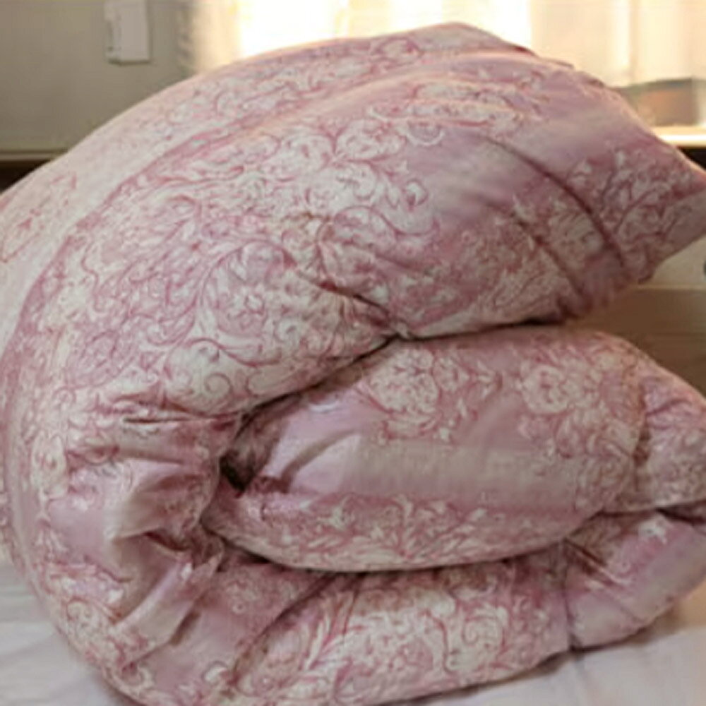 【ふるさと納税】羽毛専門工場直送 国産 羽毛ふとん ダックダウン 70% 1.0kg 防臭加工 色柄おまかせ 洗える 羽毛ふとん 収納ケース付き / マンション 暑がり おすすめ 節電 福岡県 筑後市