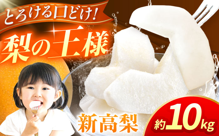 【先行予約】新高梨　約10kg  梨 ナシ フルーツ 果物 【日本フルーツ株式会社】 [ZFJ018]