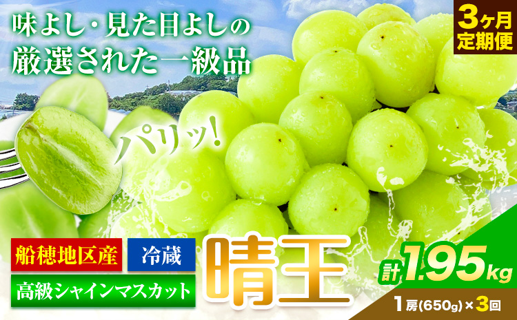 高級 シャインマスカット 3ヶ月 定期便 [2025年先行予約] ぶどう 晴王 1房 1.95kg 岡山県産 《9月上旬-11月末頃出荷(土日祝除く)》 ハレノフルーツ マスカット 送料無料 岡山県 浅口市 フルーツ 果物 贈り物 ギフト 国産 岡山県産【配送不可地域あり】（北海道・沖縄・離島）