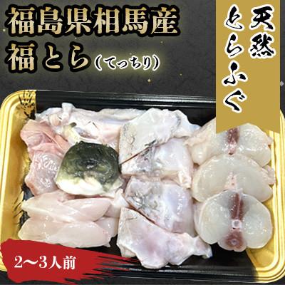 ふるさと納税 相馬市 【常磐もの新名物!福とら】 天然とらふぐ てっちり 鍋 2-3人前 約400g ふぐちり