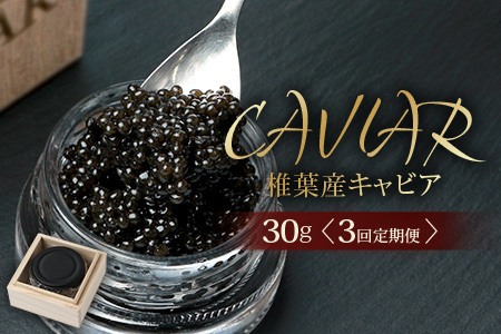 〈3回定期便〉【桐箱入り】キャビア 30g × 3回配送 計90g【世界三大珍味×日本三大秘境】宮崎 椎葉 国産 チョウザメ キャビア 魚卵 定期便 魚介 珍味 贈答品 SZ-104_3teiki