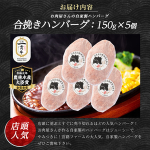 宮路ファームの自家製ハンバーグ5個 f-miyaji-1209-5