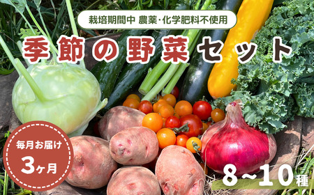 【毎月定期便3回】季節の野菜セット (8~10種)