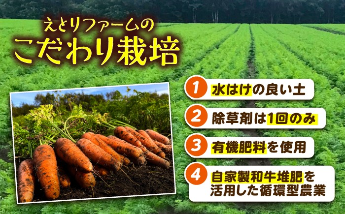 北海道産 甘い 人参 野菜 根菜 ニンジン 糖度高め サラダ 規格外 訳あり 