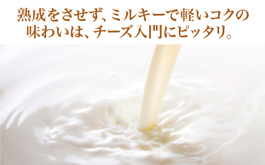 蔵王チーズ　蔵王ミルクキューブ　90g×6個セット　【04301-0817】