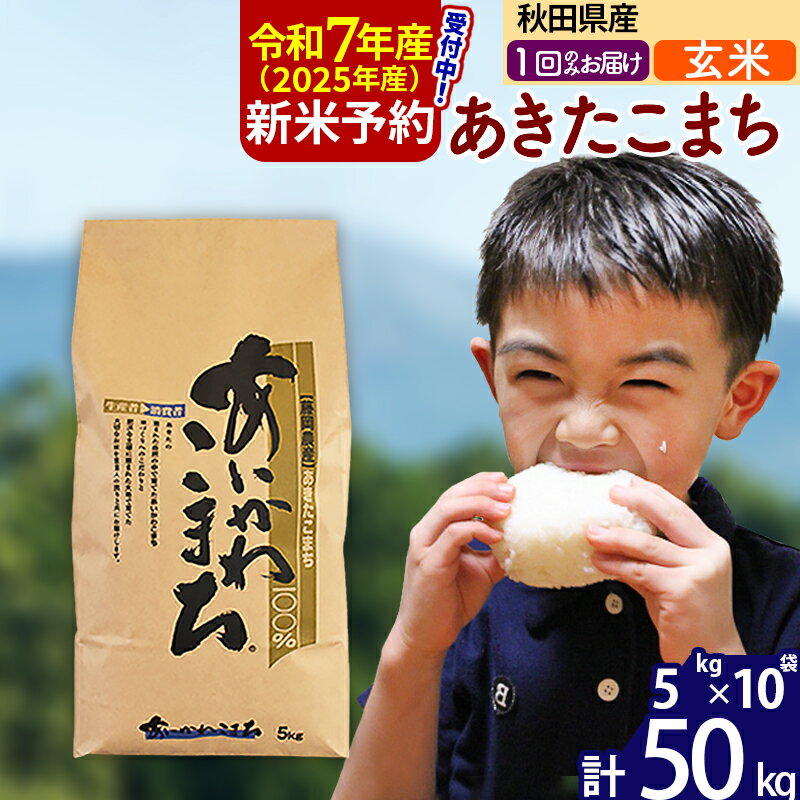 【ふるさと納税】※令和7年産 新米予約※秋田県産 あきたこまち 50kg【玄米】(5kg小分け袋) 【1回のみお届け】2025産 お米 藤岡農産