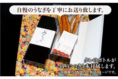 ふっくらジューシーのこだわりうなぎ【12回定期便】国産うなぎ蒲焼 6枚セット×12回【丸安】 鰻 うなぎ ウナギ 国産 蒲焼き 蒲焼 土用の丑の日[FAD016]