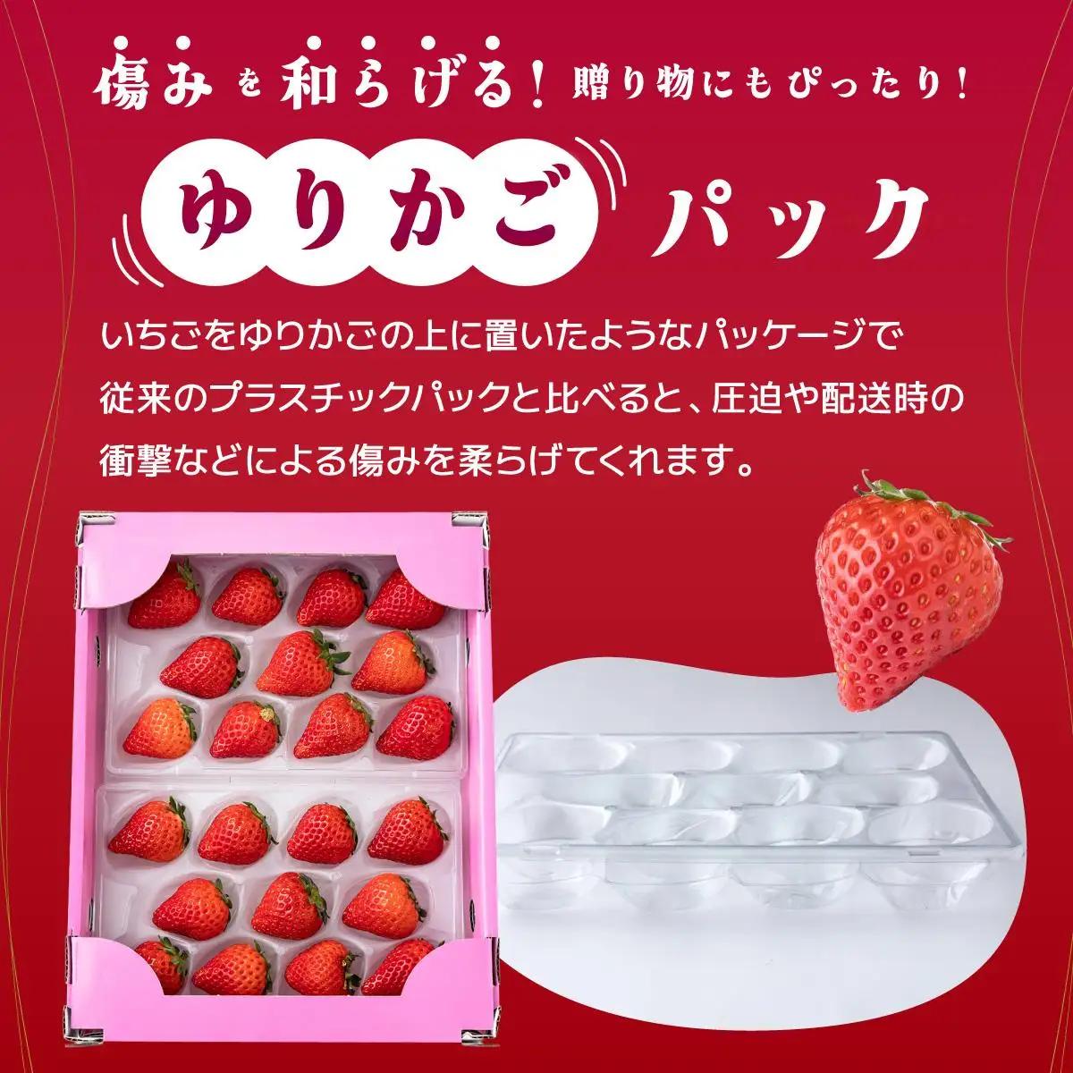 【先行予約】最高級品質”さがほのか” たっぷり1.9kg（235g×8p）