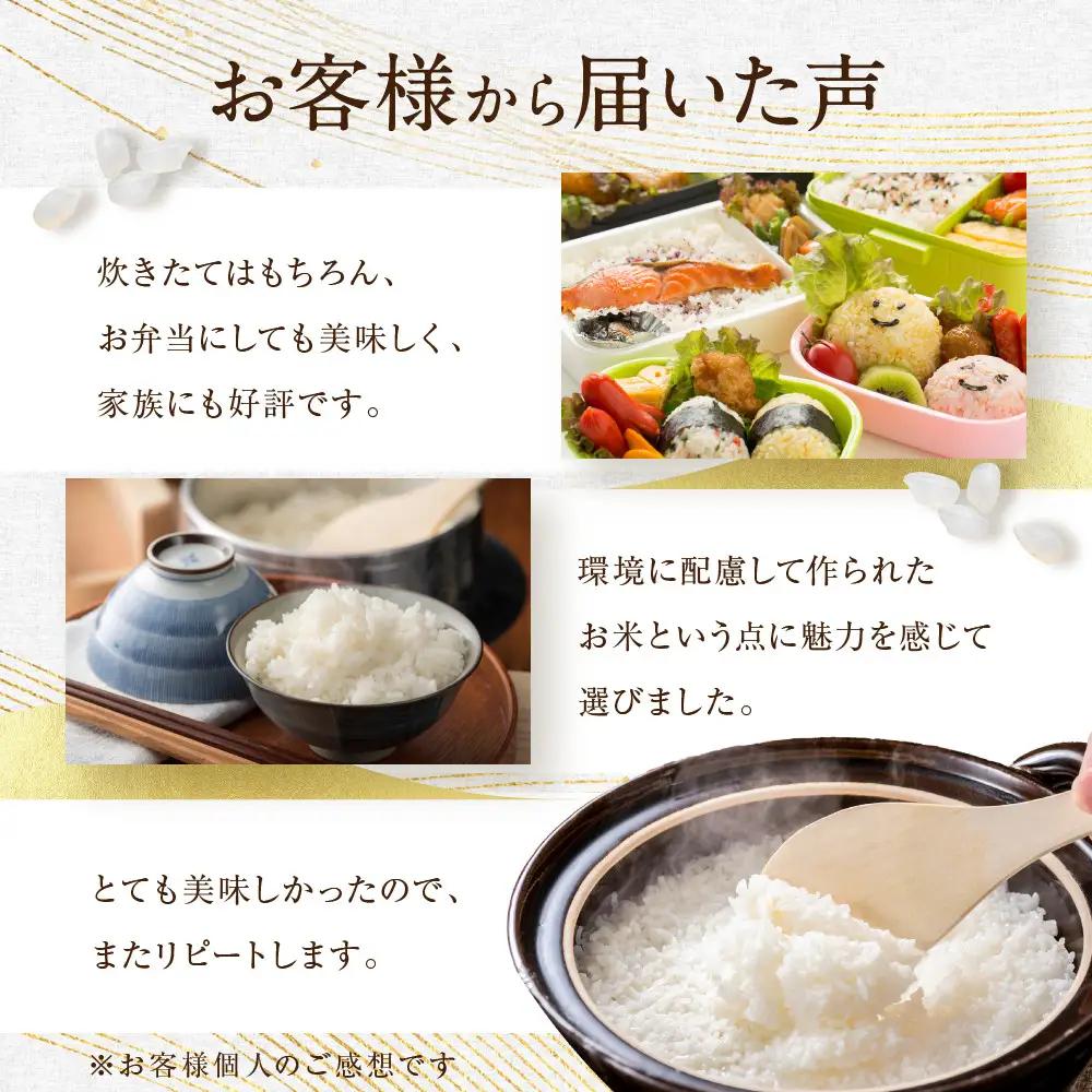 令和8年産 つや姫 5kg×1袋 ｜8年産米 新米予約 つや姫 宮城県角田市産 米 コメ 白米 精米 角田健土農場