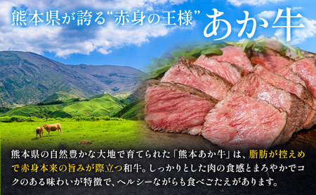 馬刺し赤身100g+あか牛肩ロース しゃぶしゃぶ すきやき用 500g 株式会社ドクタージュ《30日以内に出荷予定(土日祝除く)》熊本県 南阿蘇村 熊本県産 あか牛 肩ロース しゃぶしゃぶ すきやき 