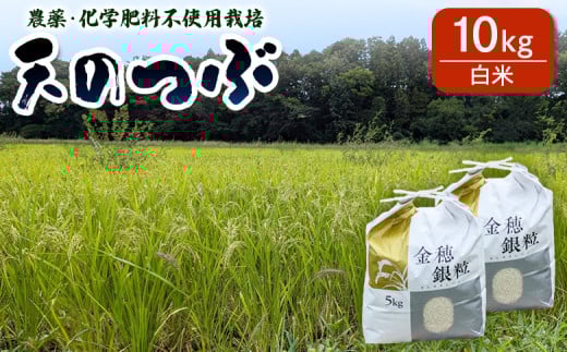 【先行予約】天のつぶ 白米 10kg 有機的栽培 令和7年産 | 無農薬 農薬不使用 化学肥料不使用 精米 福島産 福島県産 南相馬 みさき未来