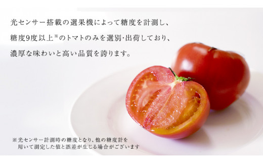 【 2026年2月上旬発送開始 】スーパーフルーツトマト 小箱 約800g ( 7～13玉 ) 糖度9度以上 ＆ 新鮮 きゅうり 約20本 と PREMIUM ドレたれセット とまと トマト 野菜 サ