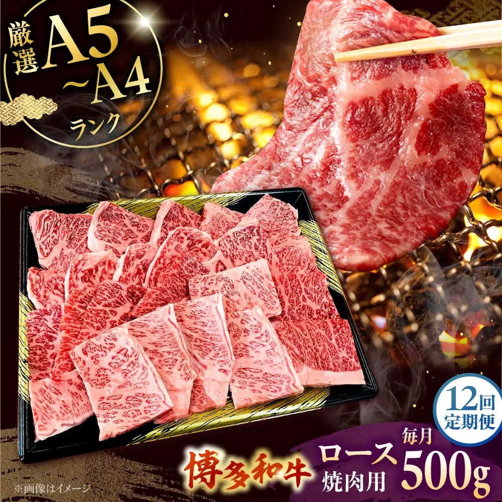 【全12回定期便】【数量限定 博多和牛】ロース 焼肉用 500g 桂川町/株式会社チクゼンヤ [ADBZ048] 焼肉 焼肉用 牛肉 国産 定期便