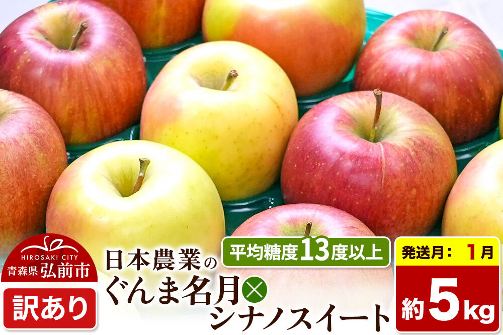 【27年1月発送】りんご ぐんま名月×シナノスイート【訳あり】約5kg 平均糖度13度以上 青森県 弘前市 果物 フルーツ 林檎 リンゴ くだもの 不揃い 規格外 先行受付 [先行予約 家庭用 産地直