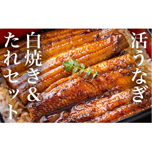 うなぎ 鰻 白焼き鰻 お店の味を楽しめる 国産うなぎセット （うな重3人前：約330g）国産鰻 鰻蒲焼 うなぎ蒲焼 ウナギ蒲焼 鰻たれ うなぎたれ ウナギたれ 鰻重 ウナ重 活鰻 活うなぎ 活ウナギ 