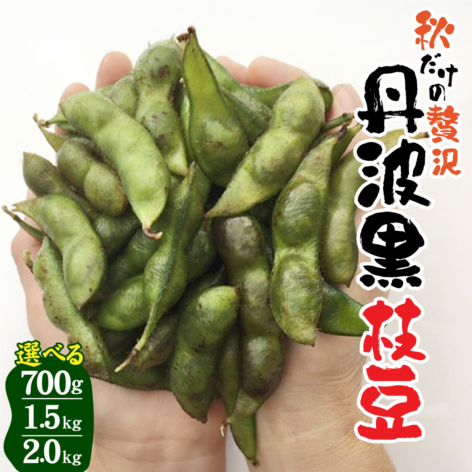 【ふるさと納税】 【先行予約】 【2025年10月中旬以降発送】【選べる容量】丹波黒大豆 川北黒大豆枝豆 さや豆 / 丹波篠山黒大豆 川北黒大豆　【 野菜 産地直送 黒枝豆 秋の味覚 甘み コク 大粒 うまみ つまみ ビールのお供 食材 料理 食卓 】