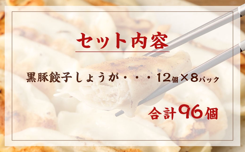 AS-2126 鹿児島県産黒豚使用 タレのいらない黒豚餃子(しょうが) 合計96個(12個×8パック)
