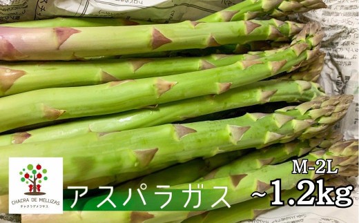 ＜8月から寄附額改定＞《先行予約》令和8年産 CHACRA DE MELLIZASのアスパラガス M~2L 450g 野菜  期間限定 サイズ不揃い あすぱら アスパラガス グリーン アスパラ 訳あり ワケアリ 訳アリ 飛騨市［Q1821x ］10000円 1万円