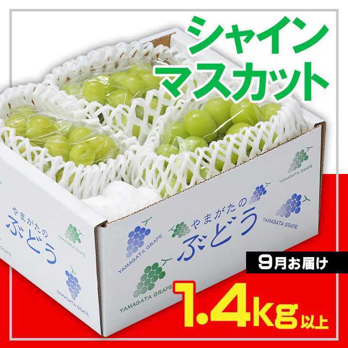☆フルーツ王国山形☆ シャインマスカット 秀品 1.4kg以上(2～4房)[9月お届け] 【令和8年産先行予約】FS23-732