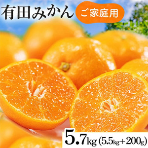 【先行予約】【数量限定】濃厚有田みかん（ご家庭用）5.7kg(5.5kg+200g(傷み補償分)) ｜みかん ミカン 蜜柑 フルーツ みかん ふるーつ みかん 果物 みかん くだもの みかん 和歌山 みかん※2025年10月上旬～2026年1月下旬頃に順次発送予定 ※北海道・沖縄・離島への配送不可