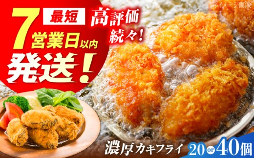 カキフライ 40個入り 江田島市／マルサ・やながわ水産有限会社 [XBL006]