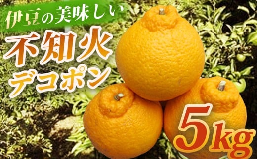 （先行予約・限定3０ケース・ 2025年2月～4月発送 ）不知火（しらぬい）デコポン5kg　【静岡県 伊豆市 フルーツ 柑橘類 】010-003