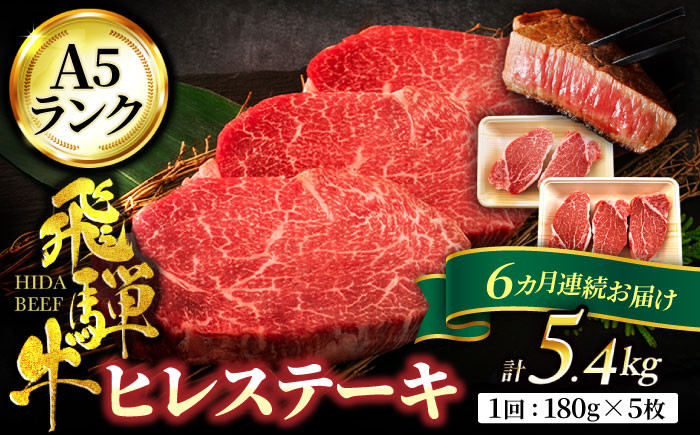 
            【6回定期便】飛騨牛 ヒレ ステーキ  A5ランク 180g×5枚【有限会社マルゴー】ヒレ肉 和牛 霜降り [MBE013]
          