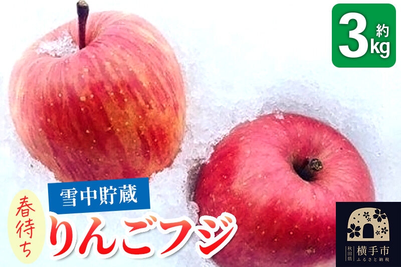 
                  《先行受付！3月上旬より順次発送》雪中貯蔵 春待ちりんご フジ 3kg [先行予約 りんご フジ 希少 【りんご】特集]
                