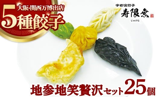 
            地参地笑贅沢セット5種25個｜ぎょうざ ギョウザ ギョーザ 冷凍食品 冷凍餃子 惣菜 夜ご飯 おかず おつまみ 手軽 時短 お取り寄せ グルメ
          