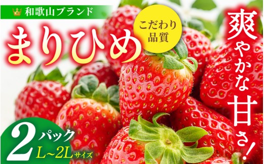 
                  【先行予約】まりひめ いちご 12粒～15粒入り×2パック（500g）2027年1月中旬〜3月下旬頃に順次発送予定（お届け日指定不可）/ いちご 苺 まりひめ 和歌山 フルーツ 果物 くだもの【kgr007B】
                