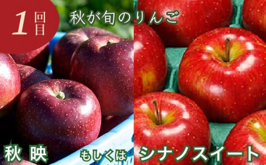 秋が旬のりんご「秋映」か「シナノスイート」をお届け