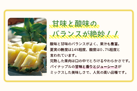 【予約受付】石垣島産 有機パイナップル・ハワイ種 3玉（約2.8kg前後)〈常温〉《7月上旬～順次発送予定》｜パイナップル パインアップル 石垣島パイン フルーツ 果物 くだもの 南国フルーツ 国産パ
