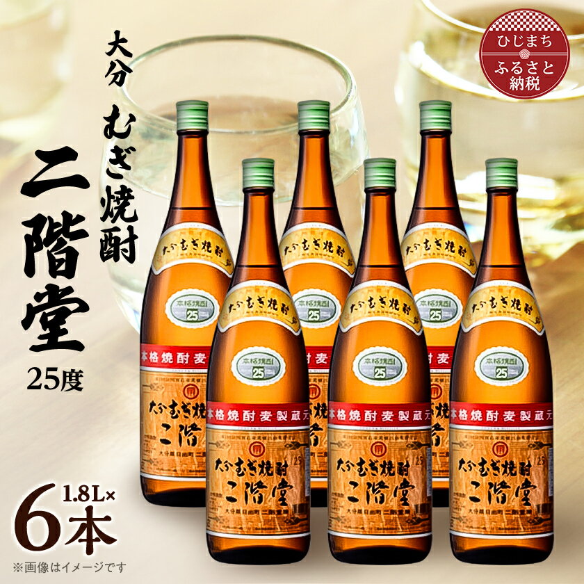 【ふるさと納税】大分むぎ焼酎　二階堂 25度 (1800ml) 6本セット【1540350】