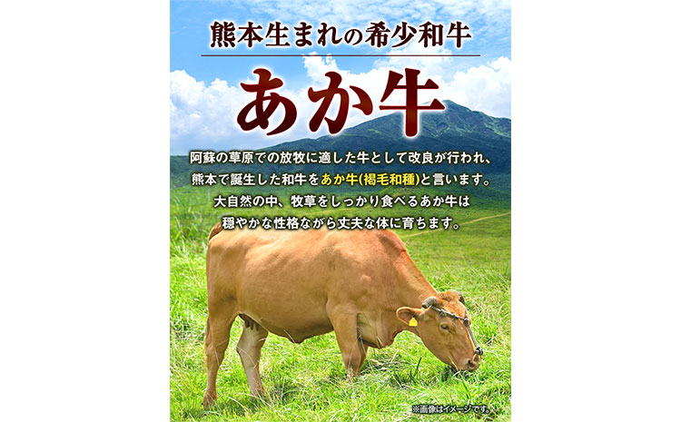 あか牛 切り落とし 1kg 五右衛門フーズ《60日以内に出荷予定(土日祝除く)》 熊本県 大津町 牛肉 肉 国産 熊本県産 ブランド牛 絶品 贅沢 高級 あか牛---so_fgoeakukr_60d_